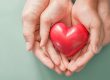 Unveiling the Impact of Charitable Giving