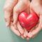 Unveiling the Impact of Charitable Giving
